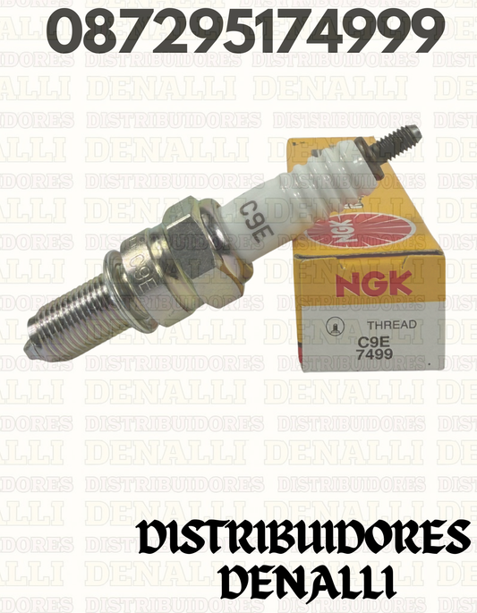 BUJIA C9E. NGK